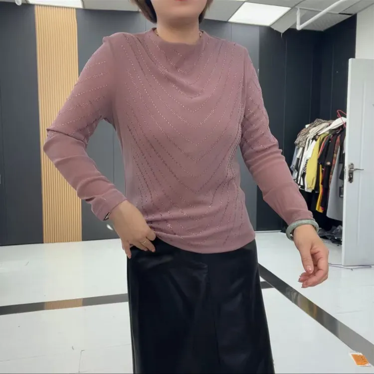 轻职风常规纱网长袖针织抗皱秋冬圆领秋季网红时尚休闲修身-3158
