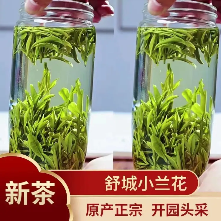 明前安徽舒城小兰花高山绿茶土种浓香口粮茶舒城小兰花2025新茶
