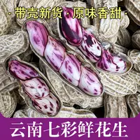 云南七彩花生 新鲜花生云南普洱 香甜富含花青素 2斤装