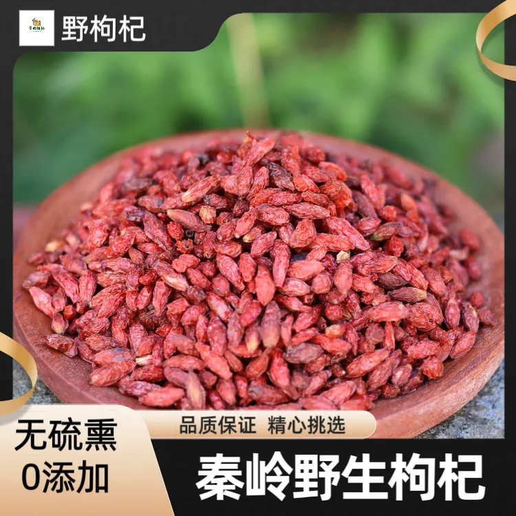 野枸杞 伏牛山野外采摘野生小枸杞晒干货口感偏苦无硫熏道地产区