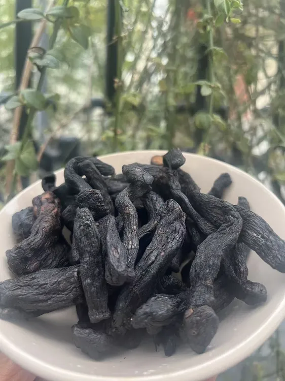 伏牛九蒸九晒姜黄‘鸡头黄