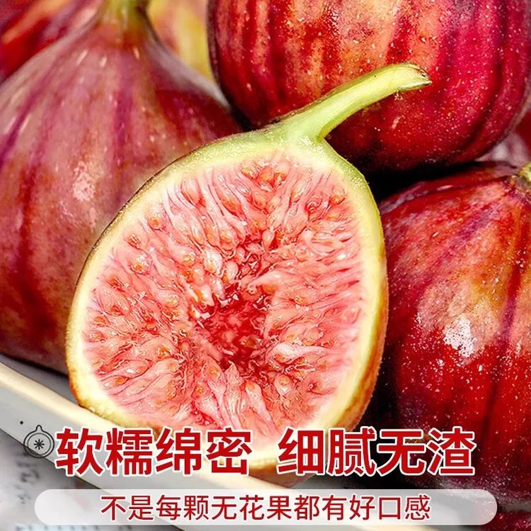 红皮无花果 糖包子 现摘现发 当季新鲜水果 2斤+
