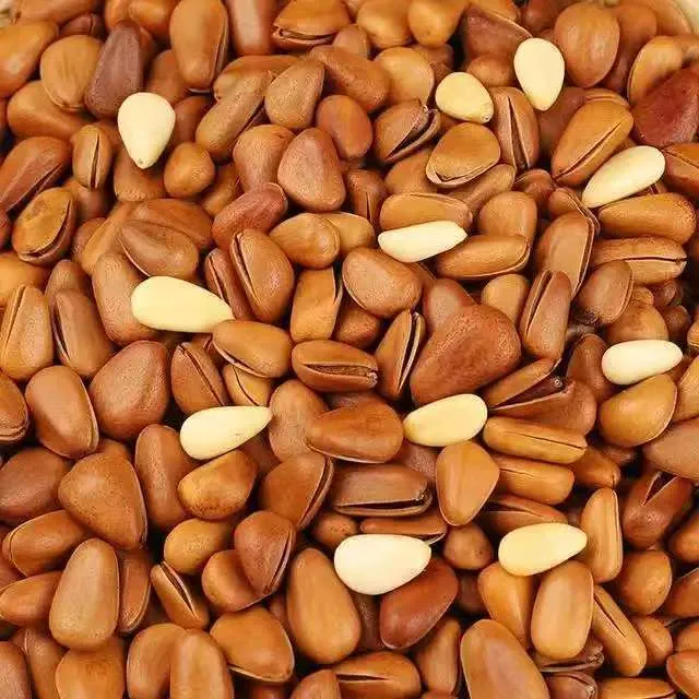 【浩弟专属】东北野生苯炒松子一斤装