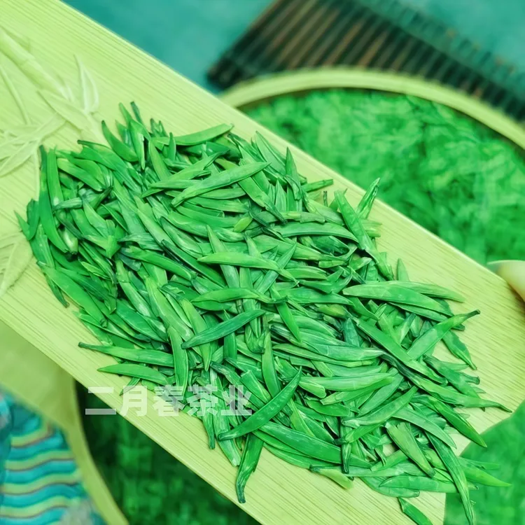 2025新茶雀舌茶叶高山茶特级头采翠芽明前湄潭嫩芽春茶原生态好茶