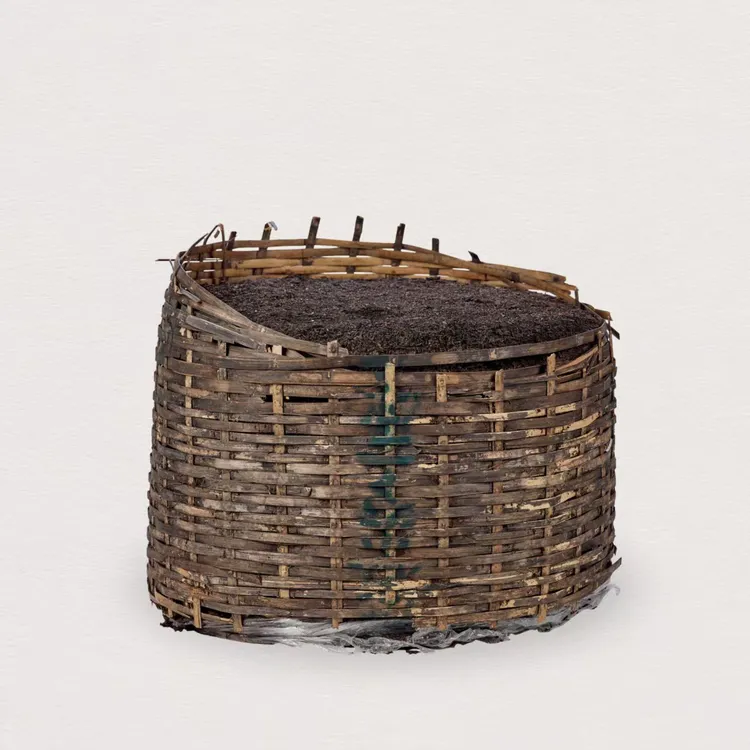 【关总收藏】大马仓旧藏五十年代末期上原度六堡茶散块