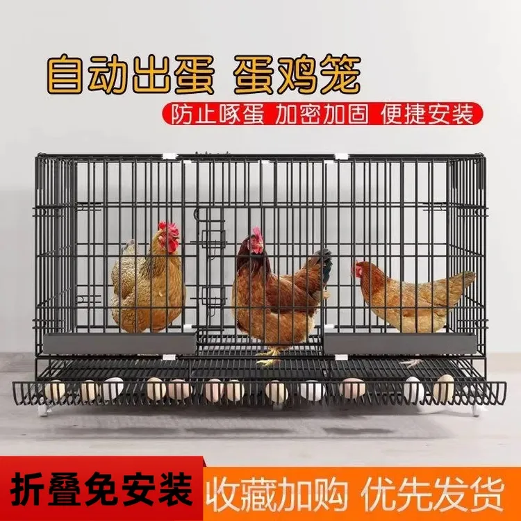 鸡笼子家用室外特大号防雨家用室内农村折叠自动清粪铁丝网养殖笼商品图