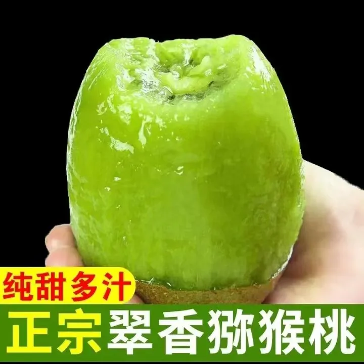 陕西周至精品翠香猕猴桃