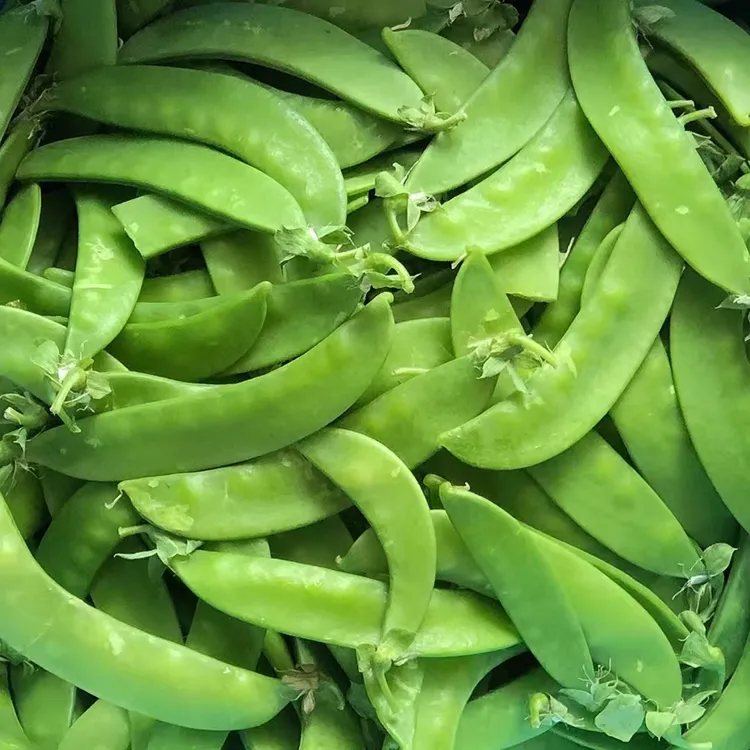 荷兰豆云南新鲜甜脆豆现摘现发农家自种当季蔬菜