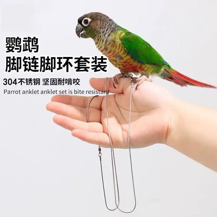 鹦鹉蛇骨链牵引绳不伤脚鸟用外出放飞绳脚环脚链遛鸟绳 商品图