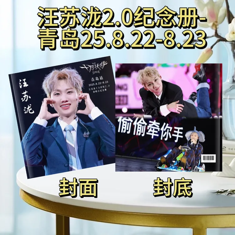 汪苏泷2025演唱会纪念册