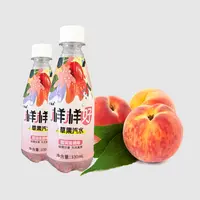 天然草果气泡风味饮料鲜爽