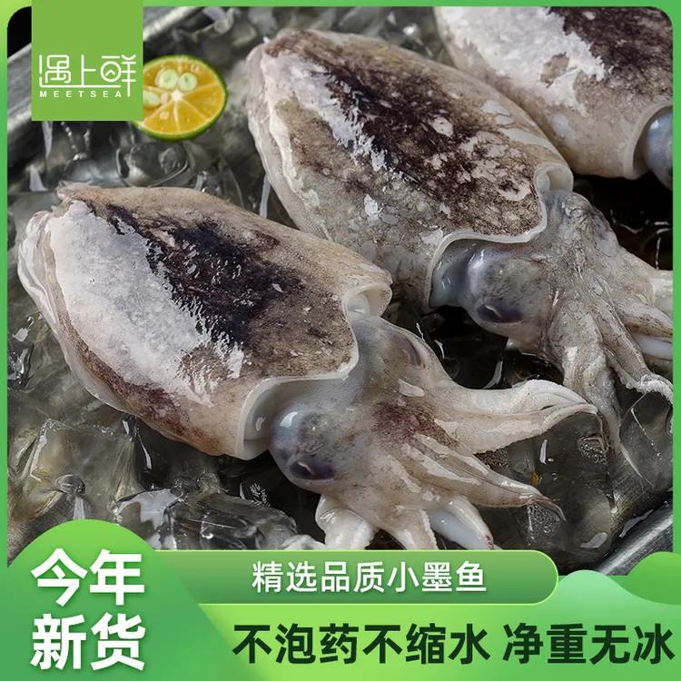 遇上鲜 舟山海捕小墨鱼 目鱼 鲜活速冻 深海渔场 肉质肥厚