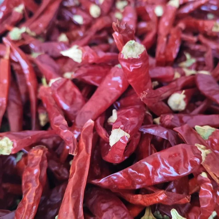 自然风干农家干辣椒特辣香辣纯红炝锅干锅火锅炒菜配菜