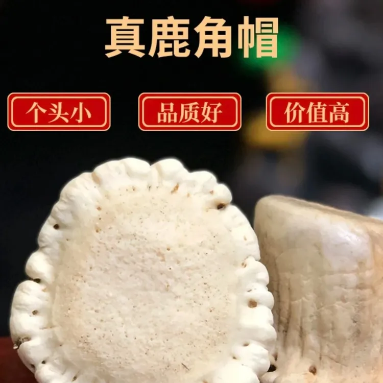 鹿角帽磨粉计重 详情咨询主播 或客服 梅花鹿产地发出