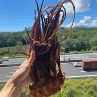 大号淡晒章鱼头 乌头须 鱿鱼头干货