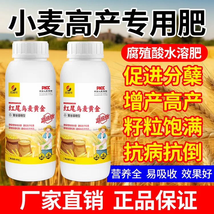 【红尾鸟麦黄金】抗寒防冻抗干热风促根壮苗促茎抗倒伏