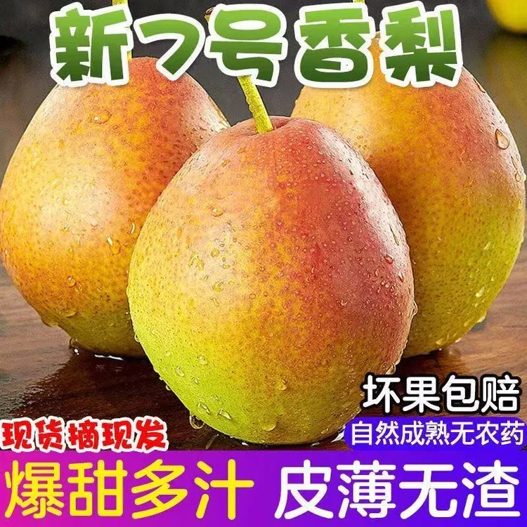 2025山西新鲜香梨红香酥梨3斤装也叫半边红梨现摘现发应季脆梨