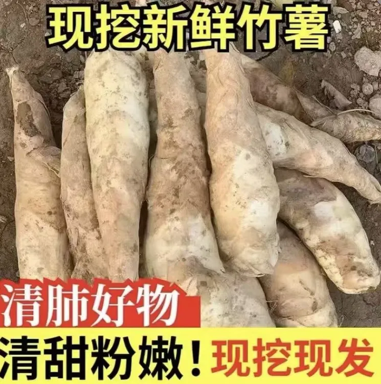 新鲜现挖竹薯可煎煮煲汤糖水广东冬粉薯火锅蔬菜竹芋东京薯