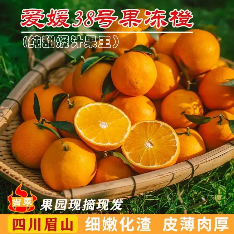 2025头茬四川38号果冻橙新鲜现摘当季水果皮薄爆甜爱媛果冻橙