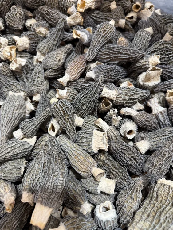 25年头茬新货云南仿野生种植羊肚菌炒蒸炖肉质厚实营养羊肚菌干货