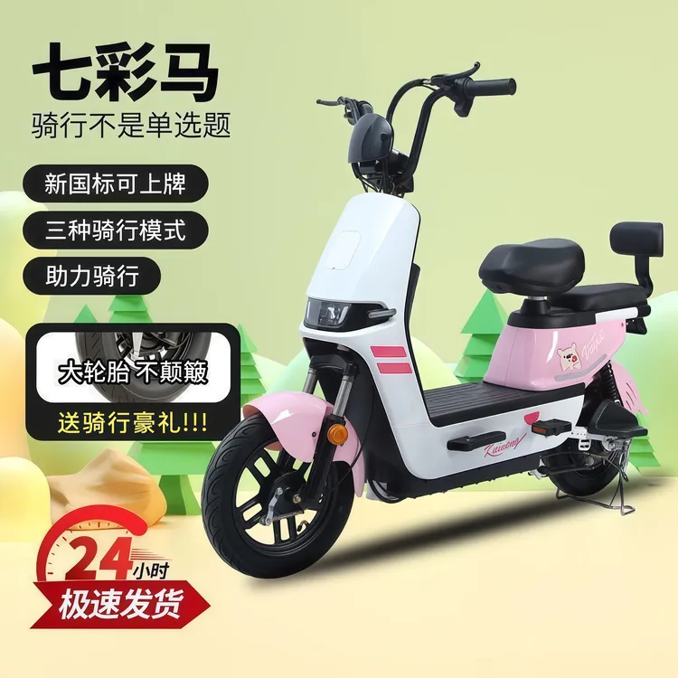 2025新国标电动车长续航可上牌男女成人电瓶车48V代步电动自行车