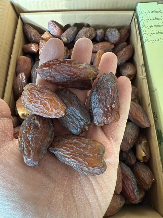 胖椰枣 大椰枣چوڭ گۆش خورما