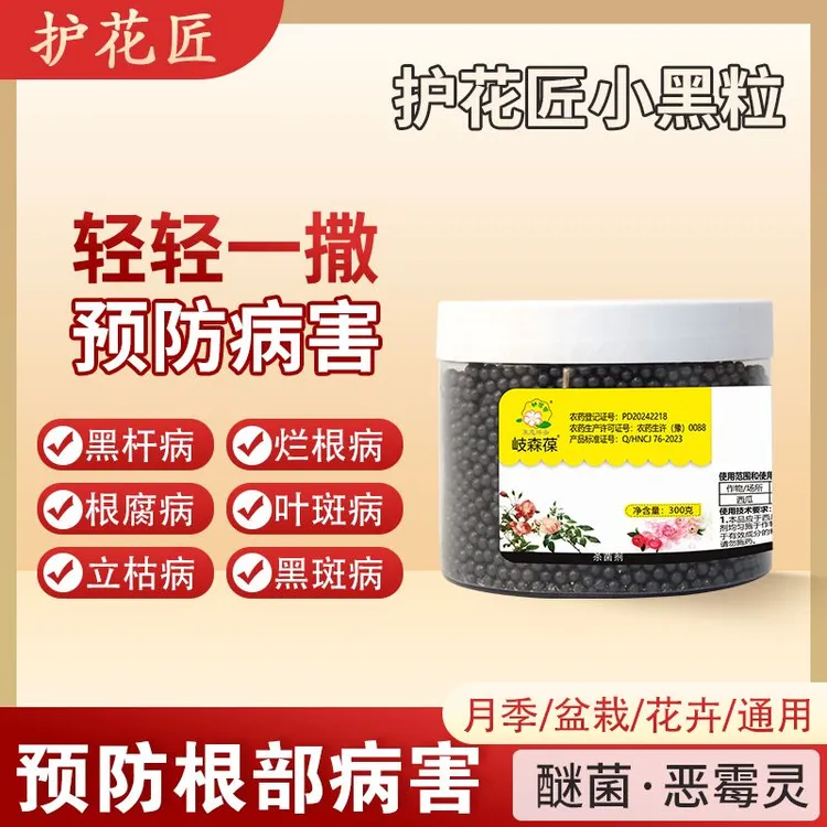 护花匠小黑粒治病防病月季黑杆花卉烂根多肉黑腐病根腐病岐森葆