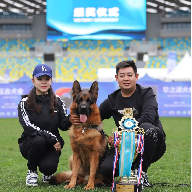 《杜通德牧犬舍》~狗狗宠物活体专用链接保健康