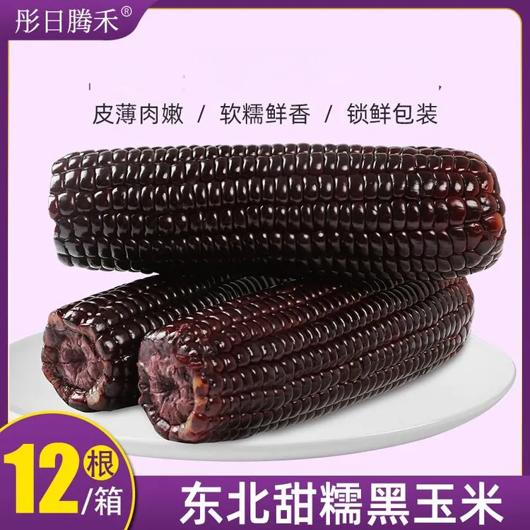（试吃3支）东北新鲜粘糯玉米拉丝黑糯玉米12支*280g整箱7.5斤左右