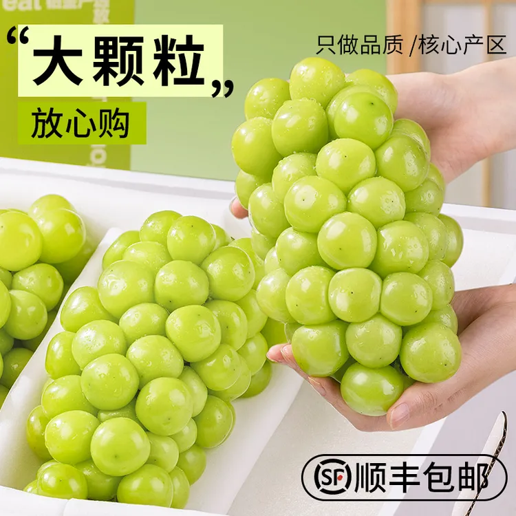 【顺丰包邮】正宗阳光玫瑰葡萄晴王葡萄新鲜水果当季整串无籽青提子