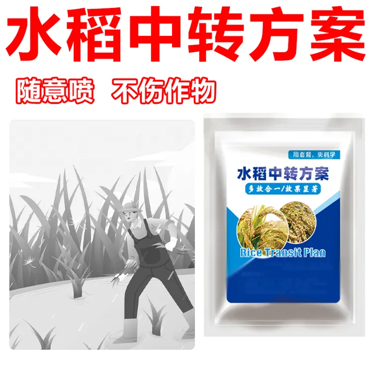 1水稻中转方案不影响作物正常生长水稻使用有机肥料