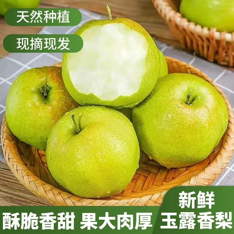 【实惠装】正宗山西玉露香梨香梨应季新鲜香梨临汾玉露香脆甜多汁