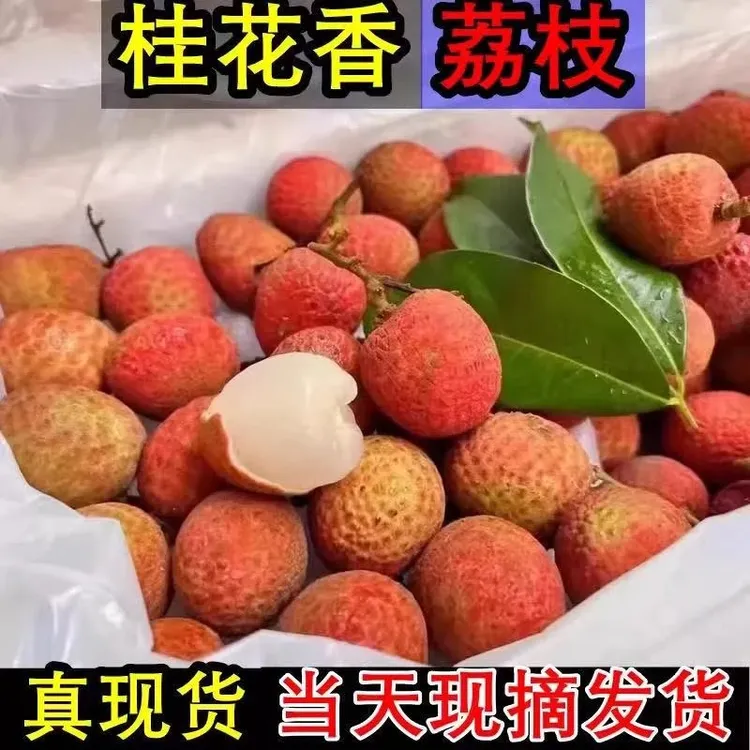 【京东空运】现摘海南桂花香荔枝新鲜上市当季荔枝早熟荔枝正宗老树