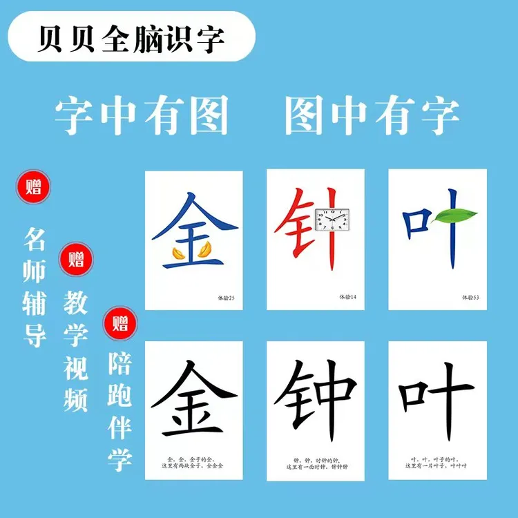 【林鸽老师专属】贝贝全脑识字小卡100字全脑图像记忆字词句三合一