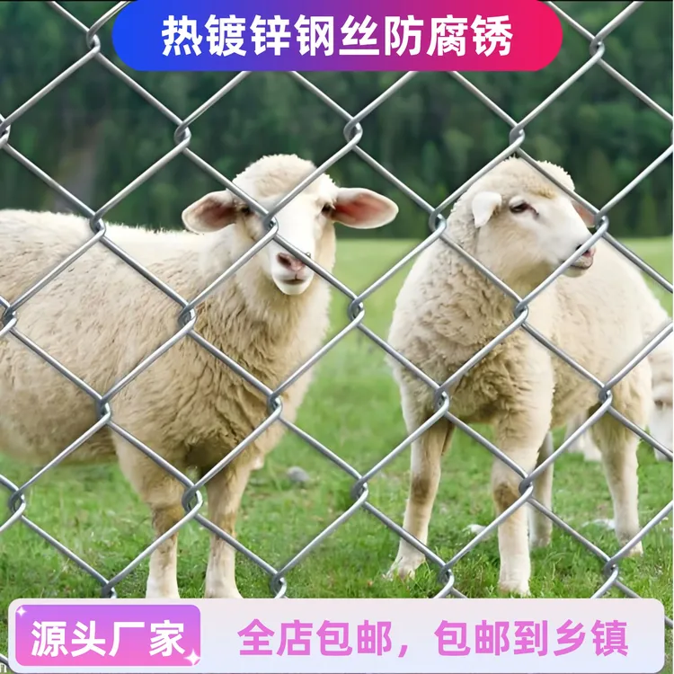 养鸡鸭鹅围栏网鸡笼子网片养殖网鸡舍网箱养鸡网鸡鸭鹅围栏网