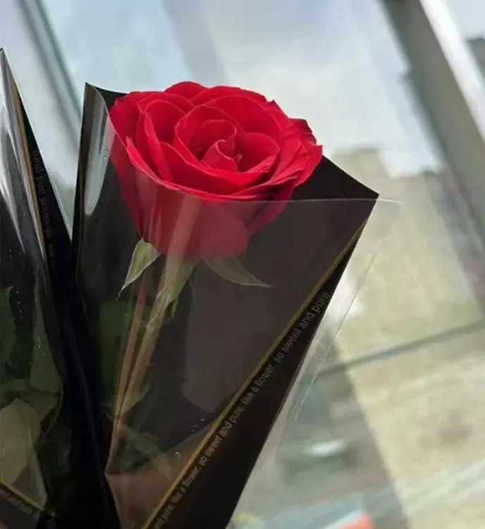 女神节红玫瑰十二支介休同城下单