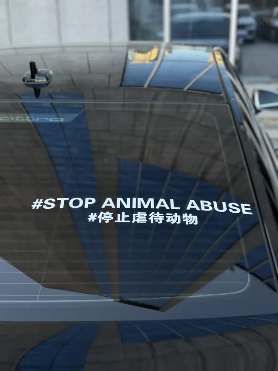 呼吁保护动物系列车贴文字贴请以领养代替购买汽车车窗电动车贴纸