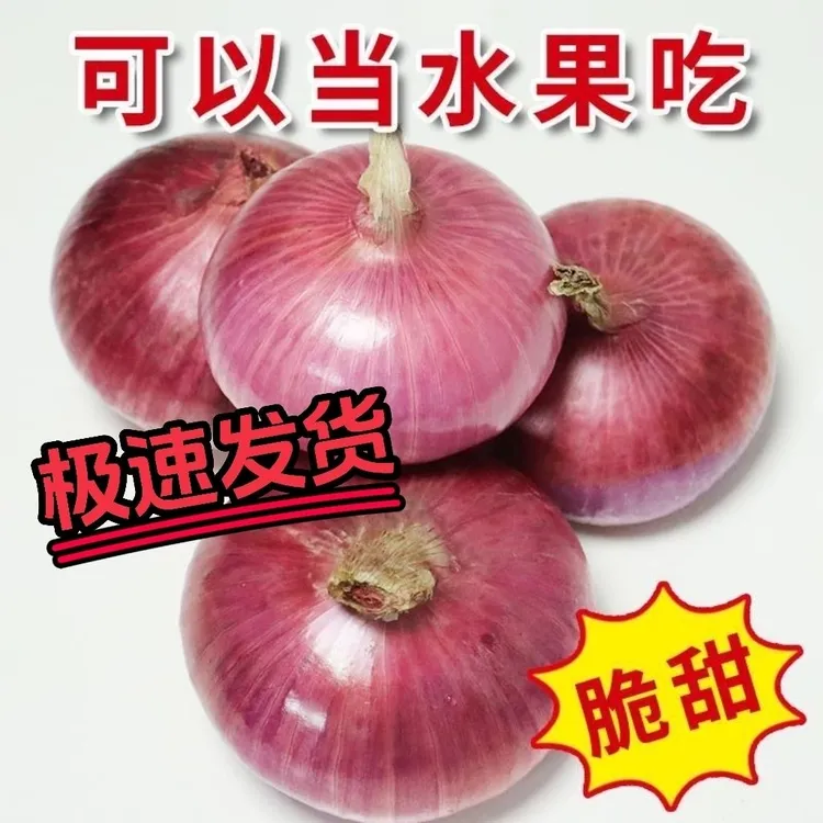（扁平水果洋葱）新鲜水果扁洋葱脆甜微辣生吃专用