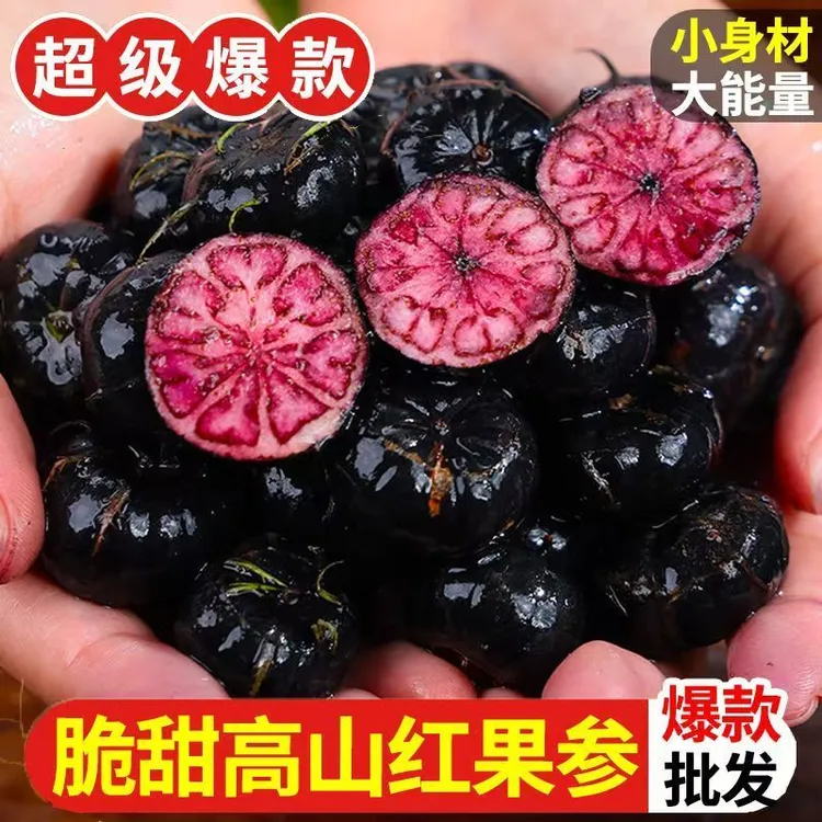 【鲜果尝鲜季】 云南红果参蜘蛛果算盘果新鲜采摘应季水果