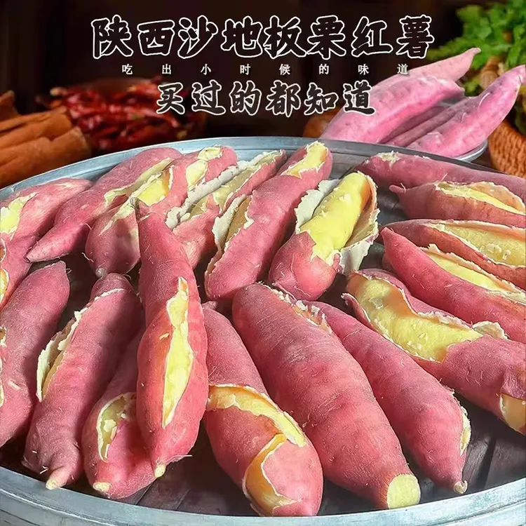 陕西宝鸡虢王红薯番薯地瓜25年新鲜板栗红薯现挖3-9斤粉面甜白薯