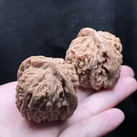 【中国涞水麻核桃协会】26 G18131-四座楼核桃-多样性发一对-40mm-