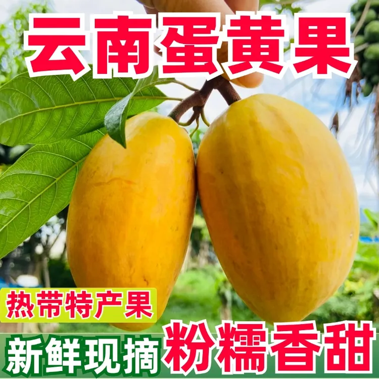粉糯香甜云南蛋黄果鸡蛋果当季大果整箱水果