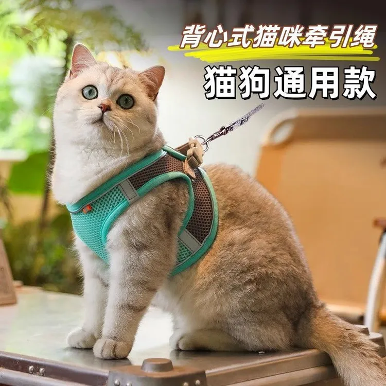 猫咪牵引绳透气可调节牵引绳猫牵引防挣脱外出专用猫绳背带GWG