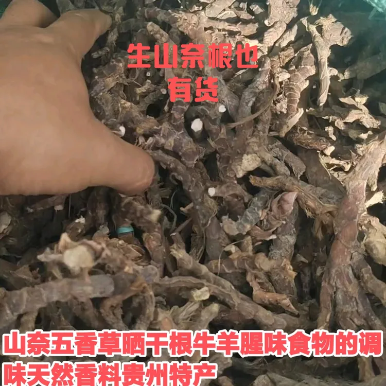贵州特产山奈五香草晒干主根新鲜根卤肉火锅专用天然调味香料包邮