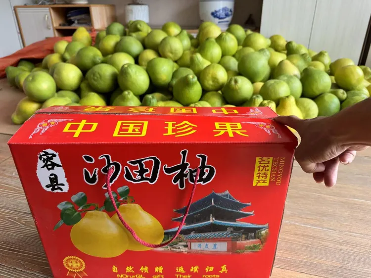 广西容县正宗沙田柚子广西容县特产新鲜应季健康水果新鲜脆甜包邮