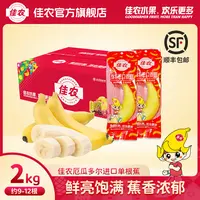 Goodfarmer/佳农厄瓜多尔进口单根蕉2kg/箱独立包装