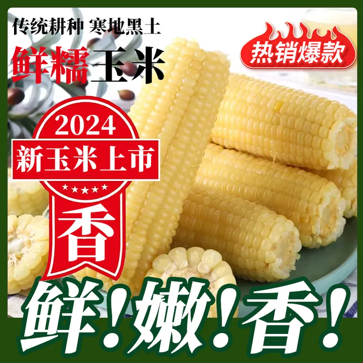 (试吃3根)东北白糯玉米10根6斤装真空包装