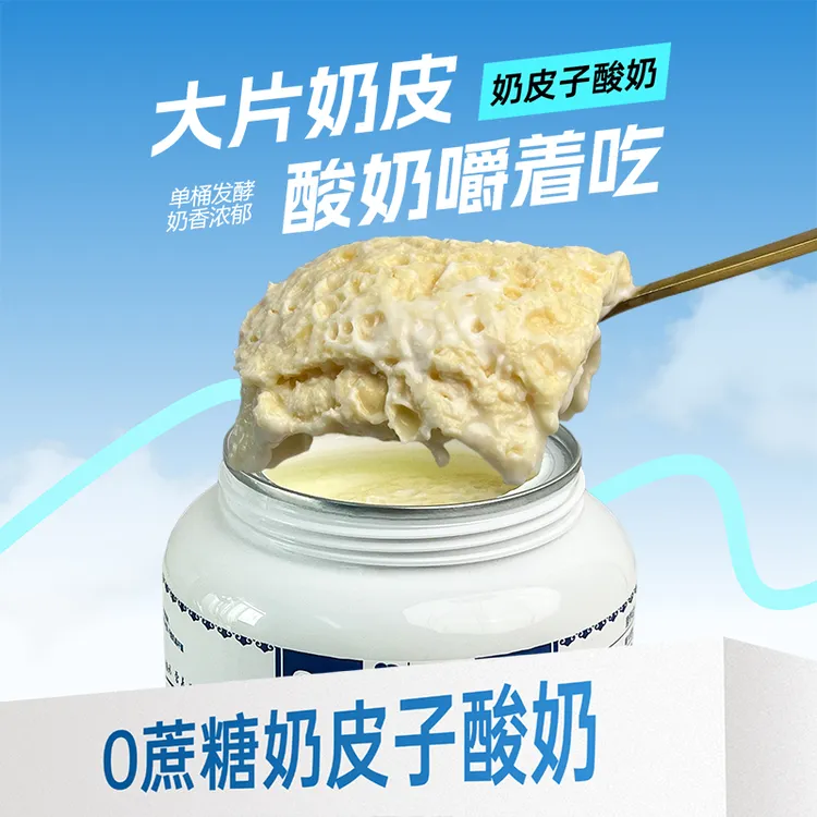【豆爸专属】内蒙直发曲迷40年正宗两层无蔗糖奶皮子酸奶500g装