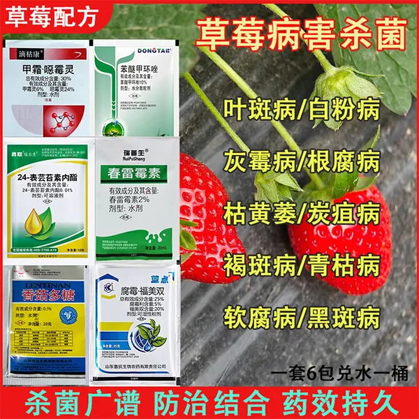 草莓专用杀菌剂根腐病霜霉白粉病菌清灰霉病细菌性角斑病正品农药