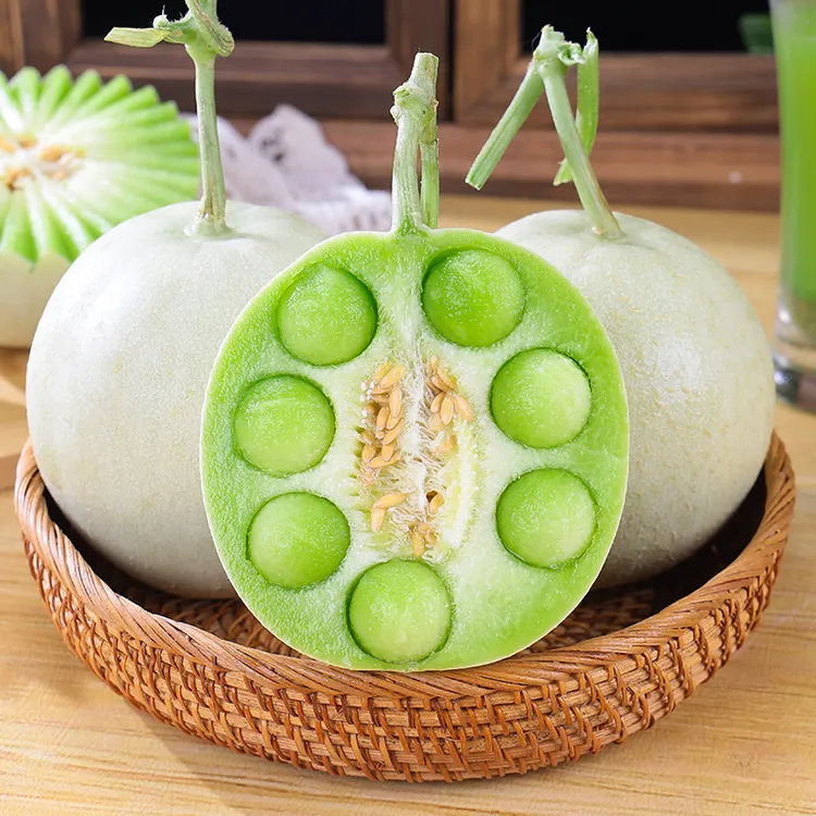正宗山东冰淇淋玉菇甜瓜净重4.5-8斤产地直发软糯香甜蜜瓜香瓜